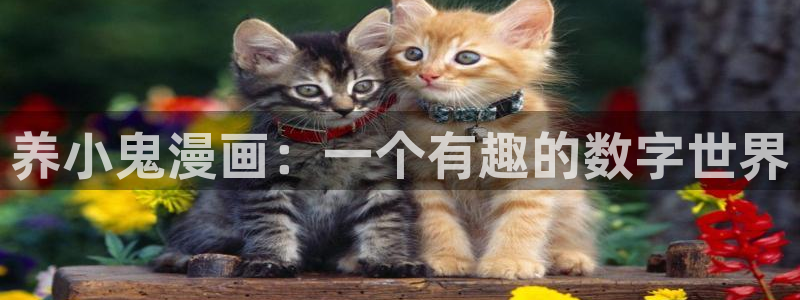 韩漫网站黄色
