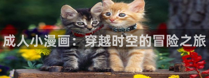 美丽新世界韩漫免费阅读漫画