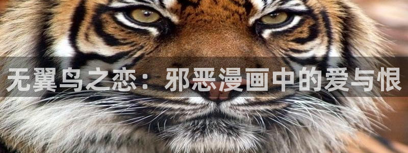 韩漫网址无遮挡