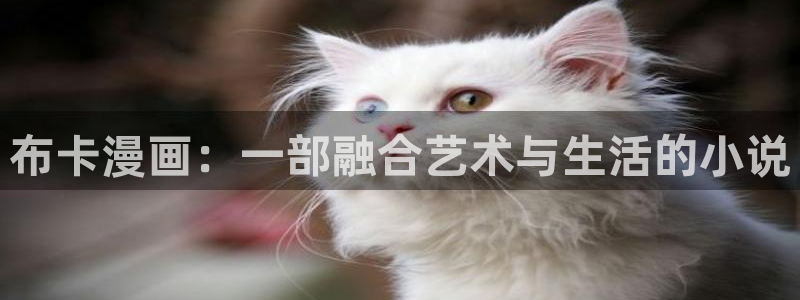 韩漫双男主漫画免费阅读看漫画下拉