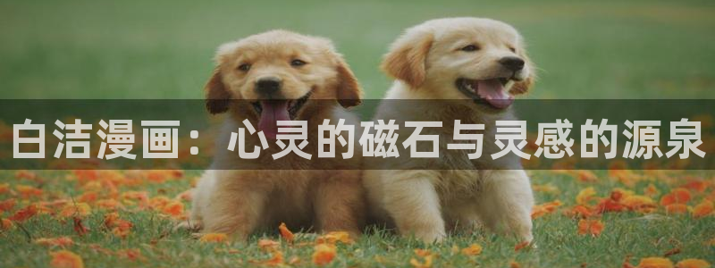 韩漫官网虚空漫画网