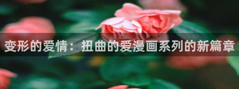 看韩漫去哪里
