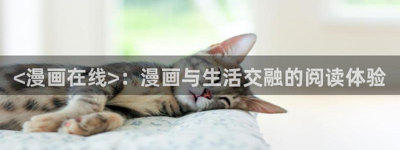 hm韩漫画