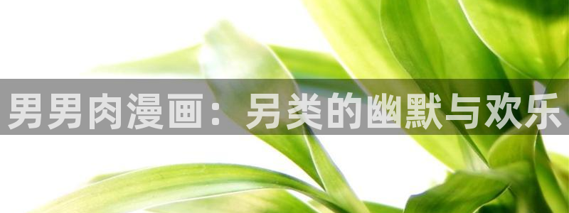 看韩漫的漫画