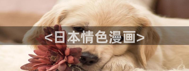 歪歪漫画韩漫sss在线进入
