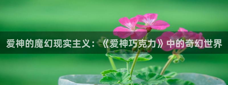 团宠韩漫画
