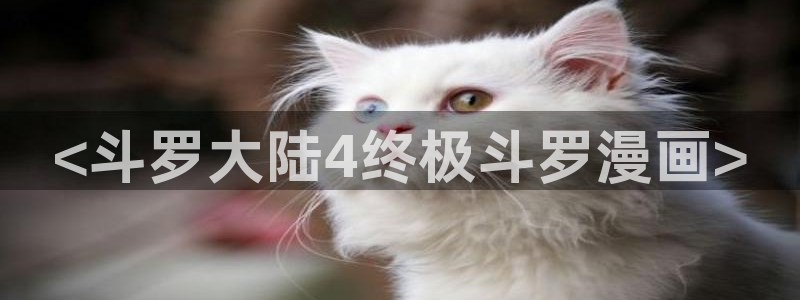 91漫画网址韩漫：<斗罗大陆4终极斗罗漫画>